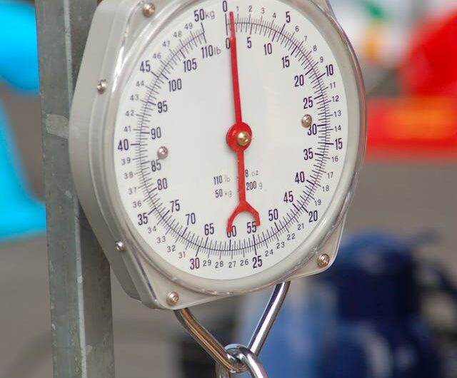 Hängewaagen sorgen für flexible Wägelösungen in Lager und Produktion